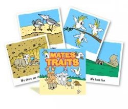 Mates traits - övning i empati och lyfta styrkor